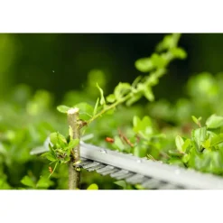 Akkupensasleikkuri Bosch GHE 18V-50 FP 18V ilman akkua
