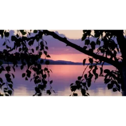 Akustiikkataulu Yeseco Quiet 120x60 cm kollaasi 2 kpl 60x60 cm eri kuvia (myös omalla kuvalla)