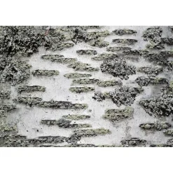 Akustiikkataulu Yeseco Still T 60x40 cm valkoiset puukehykset eri kuvia (myös omalla kuvalla)