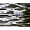 Akustiikkataulu Yeseco Still T 80x60 cm valkoiset puukehykset eri kuvia (myös omalla kuvalla)