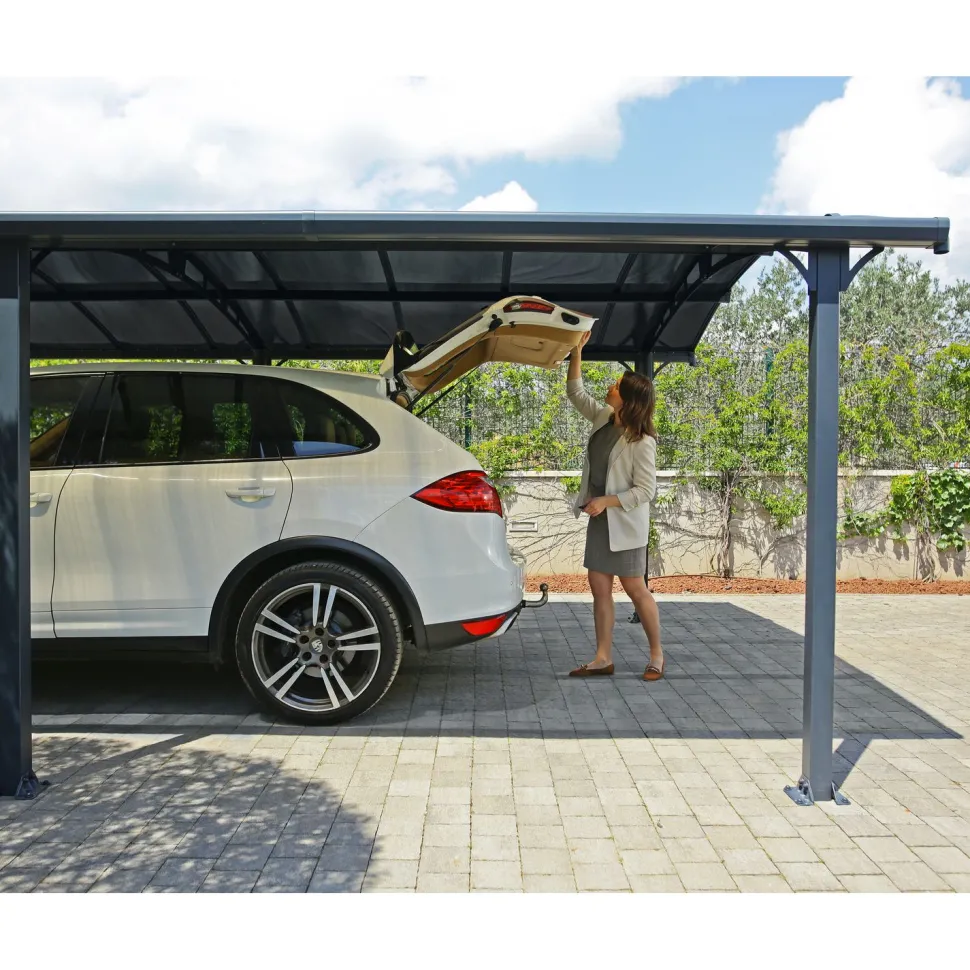 Autokatos Palram-Canopia Arcadia, kahdelle autolle, metalli, tummanharmaa/harmaa, eri kokoja