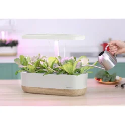 Hydroponinen vesiviljelyjärjestelmä Greenline Urban Growing P10