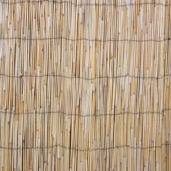 Kaislasermi Home4You IN GARDEN 500x100 cm, beige