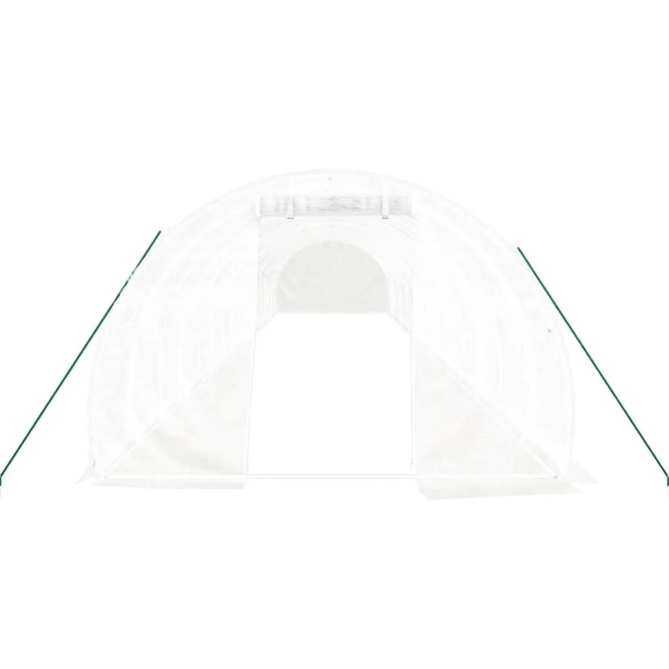 Kasvihuone teräsrungolla, 3x2x2 m - 24x3x2 m, eri kokoja ja värejä (29939)