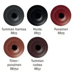 Kateruuvi Ruukki Viktoria, 4.8x28mm, torx, 100 kpl, eri värejä