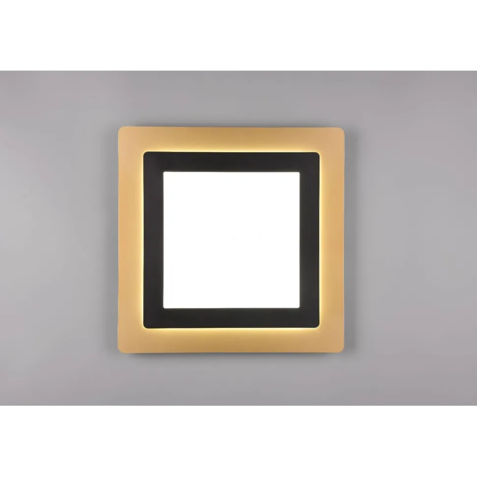 LED-kattovalaisin Trio Morgan, 45x45cm, eri värejä