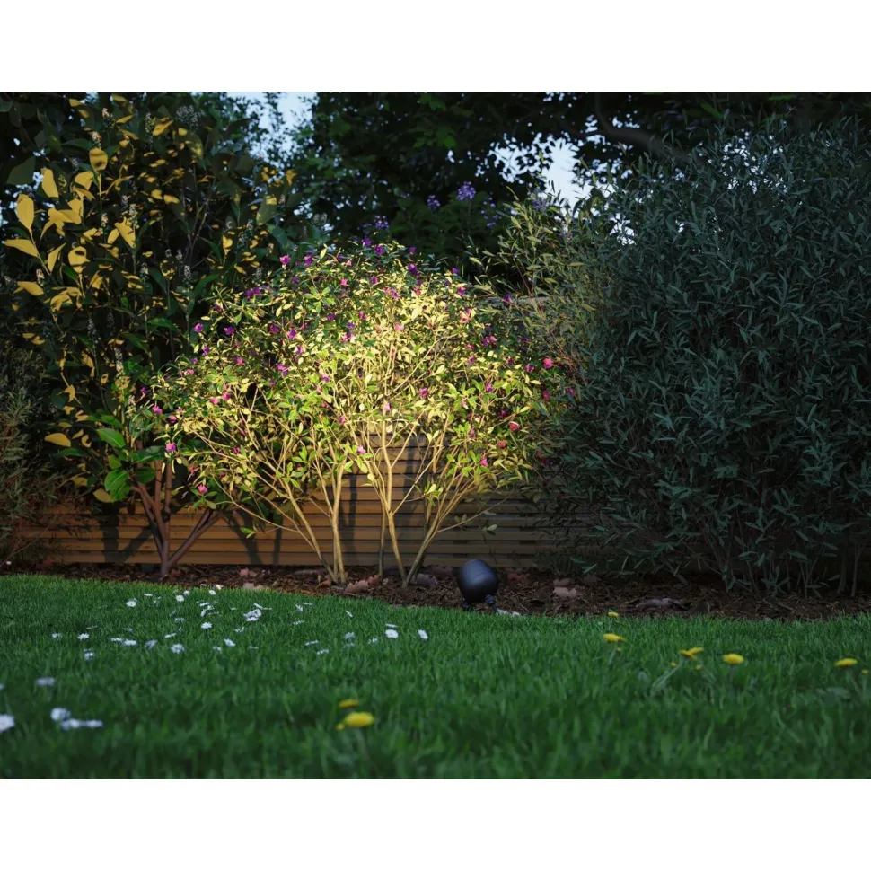 LED-puutarhaspotti Paulmann Plug & Shine Kikolo, Smart Home Zigbee 3.0, IP65, RGBW+, antrasiitti