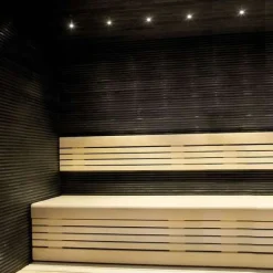 LED-saunavalaisin Highline Sauna+ 1x3W alumiini lisäosa settiin