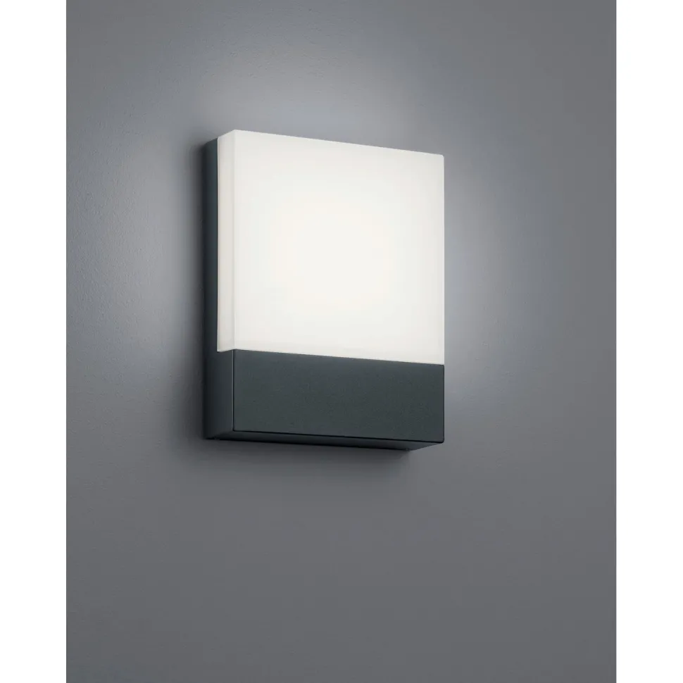 LED-seinävalaisin Trio Pecos 200x160 mm antrasiitti
