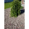 Luonnonkivi Benders 16-40 mm 15 kg säkki punaharmaa