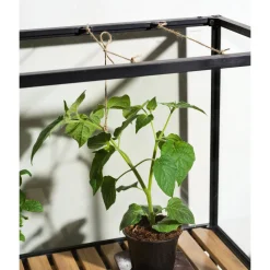 Minikasvihuone Brafab Grower Greens, 81x41x137cm