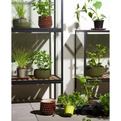 Minikasvihuone Brafab Grower Greens, 81x41x137cm