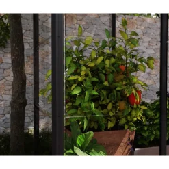 Minikasvihuone Palram-Canopia IVY, 0.8m², polykarbonaatti, musta