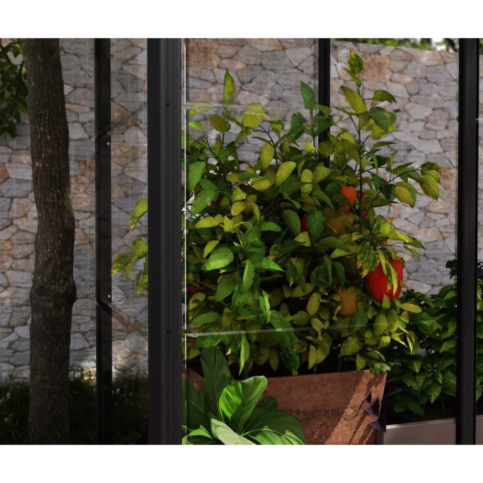 Minikasvihuone Palram-Canopia IVY, 0.8m², polykarbonaatti, musta