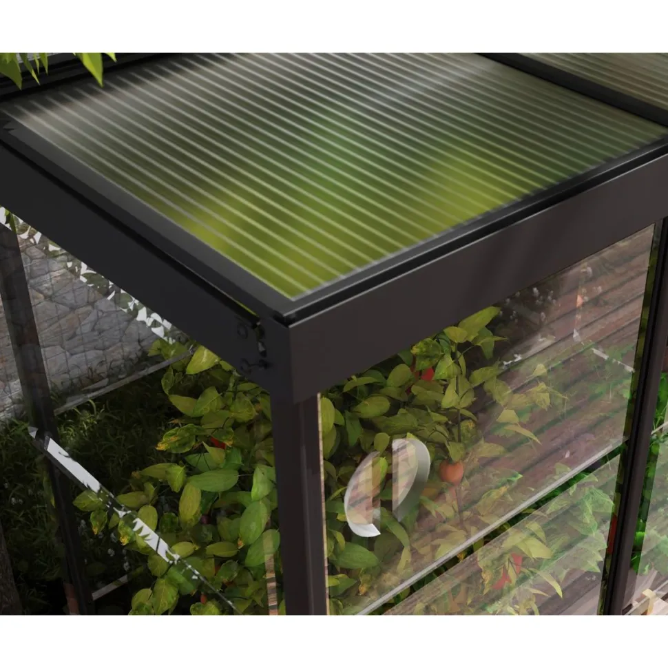 Minikasvihuone Palram-Canopia IVY, 0.8m², polykarbonaatti, musta