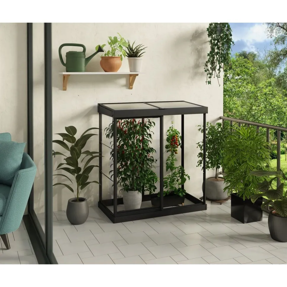 Minikasvihuone Palram-Canopia IVY, 0.8m², polykarbonaatti, musta