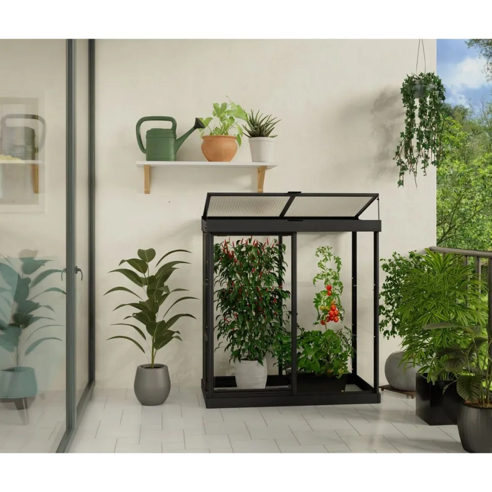 Minikasvihuone Palram-Canopia IVY, 0.8m², polykarbonaatti, musta