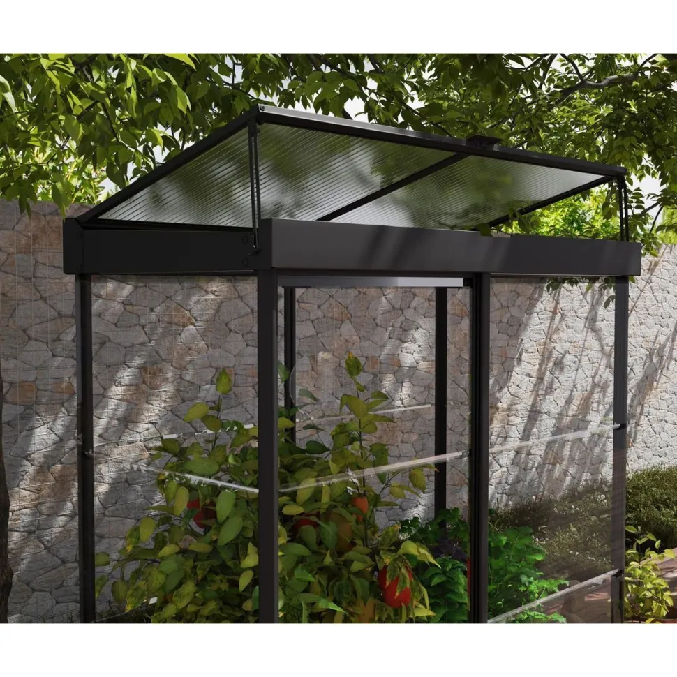 Minikasvihuone Palram-Canopia IVY, 0.8m², polykarbonaatti, musta