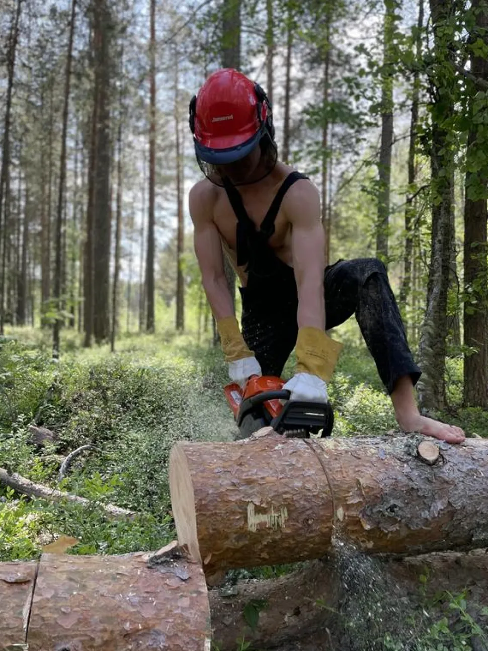 Moottorisaha Husqvarna 445 Mark II 13" .325" 1,3 mm H30