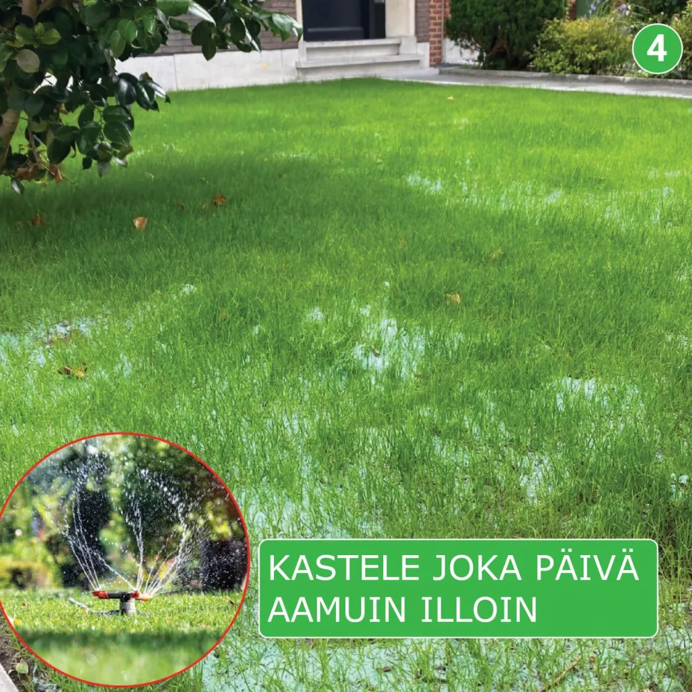 Nurmikon siemenmatto Turfquick Skugga, 10 m²