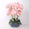 Orkidea Home4You GARDEN QUEEN K64 cm, vaaleanpunainen