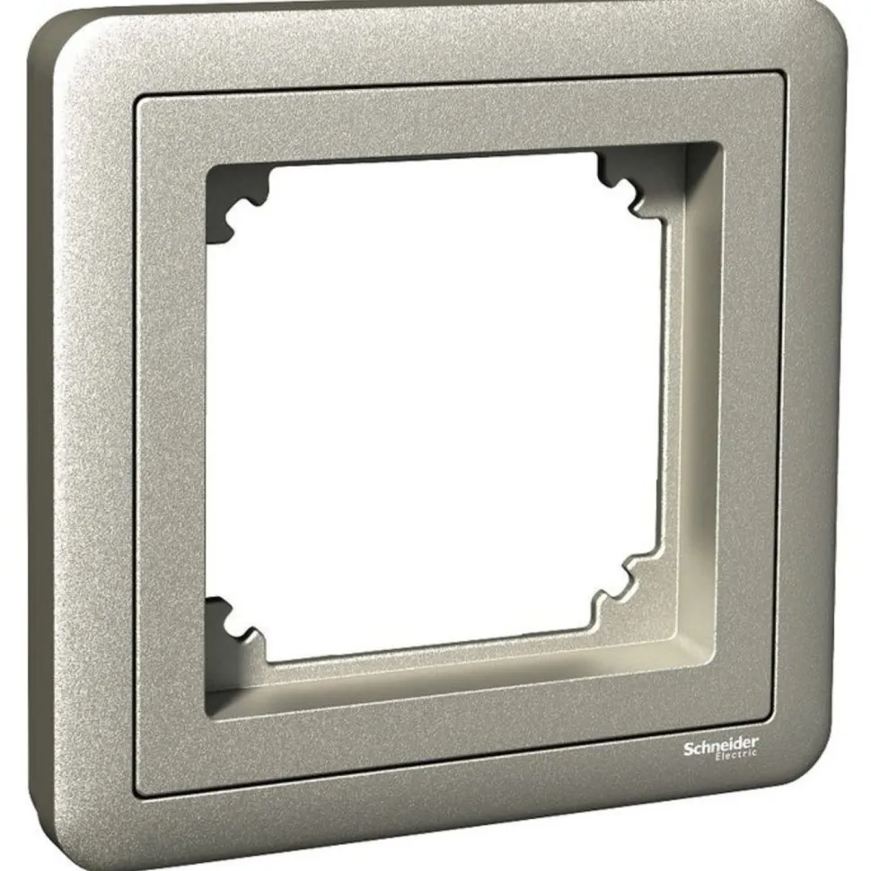 Peitelevy adapterilla Schneider Electric ExxactCombi, 1-osainen