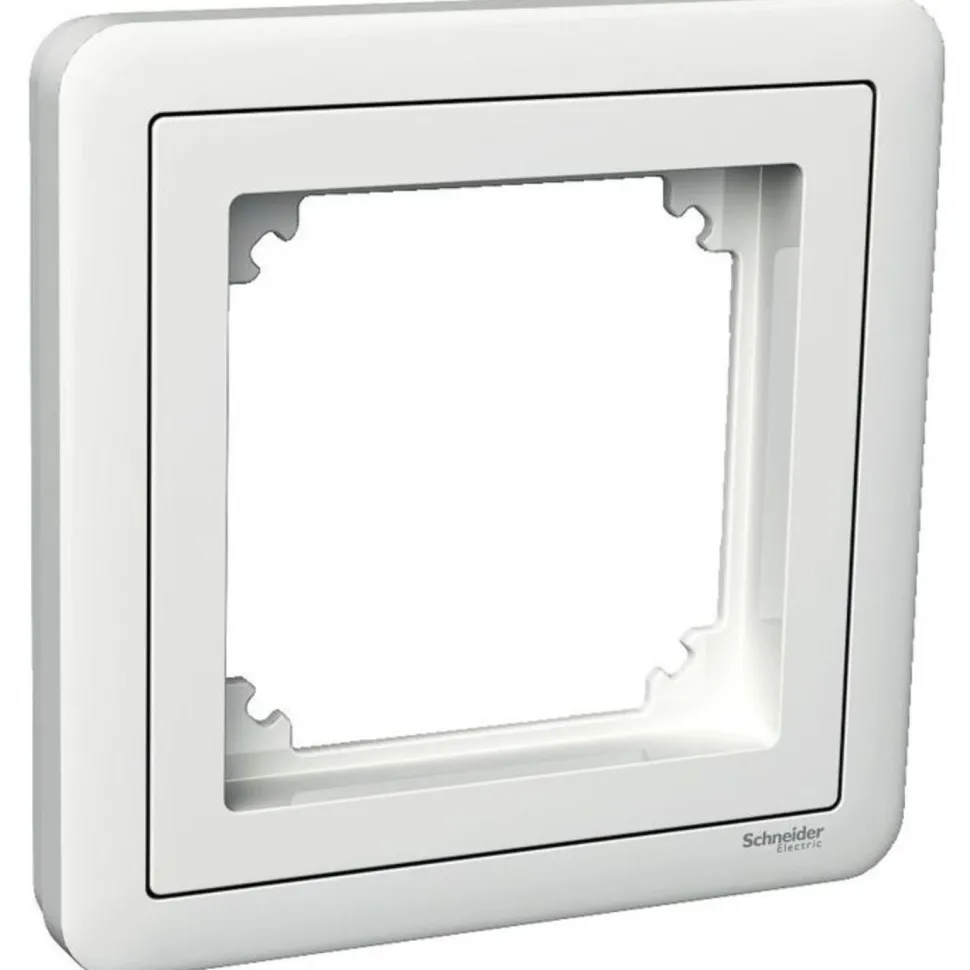 Peitelevy adapterilla Schneider Electric ExxactCombi, 1-osainen