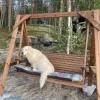 Pihakeinu Salla Lux N130R ruskea