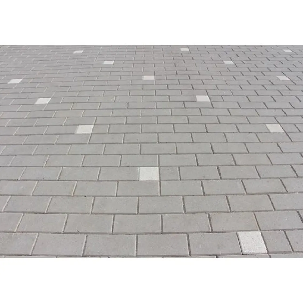 Pihakivi Rudus Kartanokivi 80 278x138x80 mm sileä harmaa