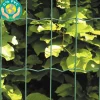 Puutarha-aita Hortus 5x10cm 1x25m 0% PVC vihreä