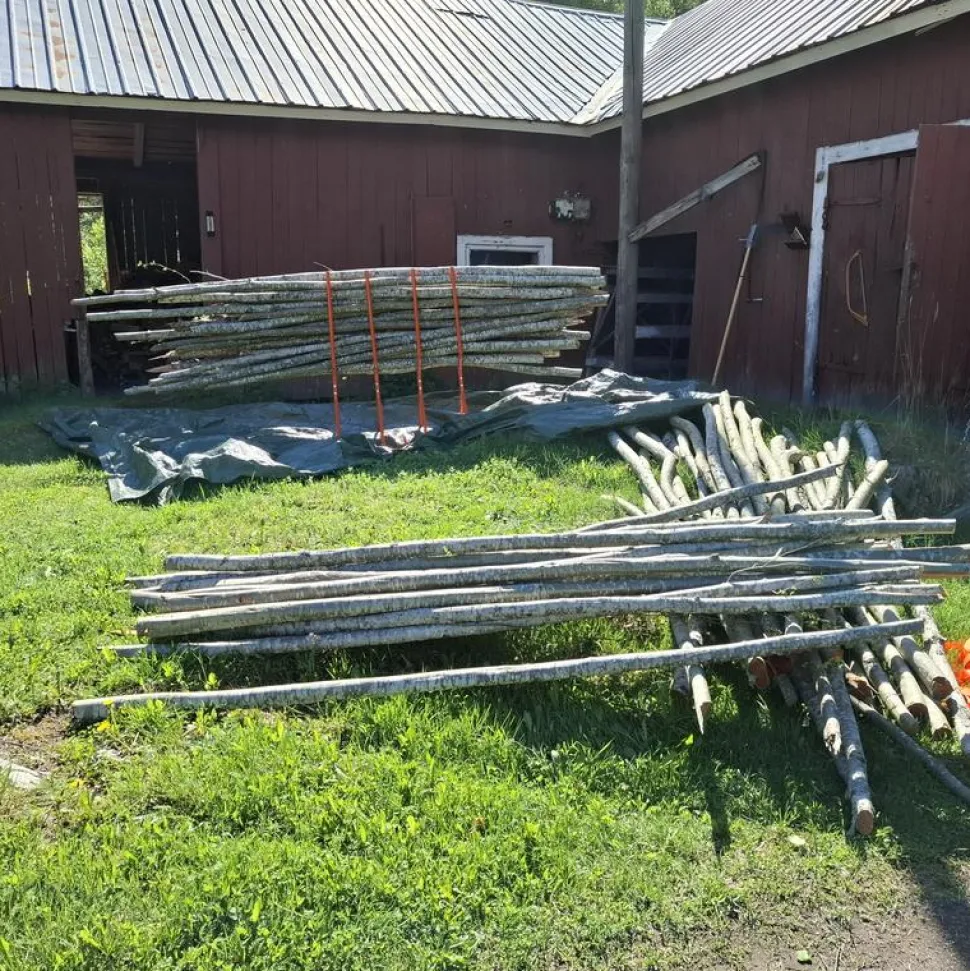Sahapukki Varax 123 x 97 x 55 cm eri värejä