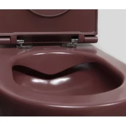 Seinä-WC-istuin Interia Infinity Rimless, huuhtelukaulukseton, matta, eri värejä