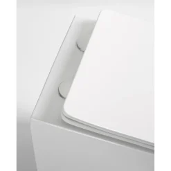 Seinä-WC-istuin Interia Pacho Rimless, soft-close -kannella, eri värejä