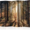 Sermi Artgeist Autumnal Forest 225x172cm