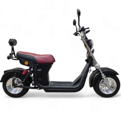 Sähköskootteri E-go Evo2, 1000W, eri värejä