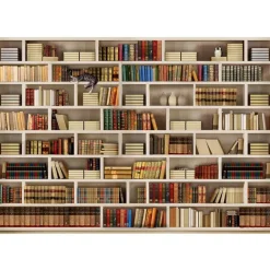 Sisustustarra Artgeist Home library eri kokoja