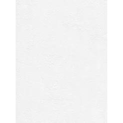 Tasoitetapetti Patent Decor Express 2212, 0,75x 25m, yksivärinen, valkoinen