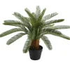 Tekokasvi Home4You CYCAS, K70 cm, musta ruukku, vihreä