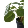 Tekokasvi House Nordic Kilpipiilea, 28cm, vihreä