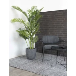 Tekokasvi House Nordic Puistokultapalmu Areca Palm, 175cm, vihreä