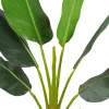 Tekokasvi Lykke Strelitzia Tree, 90cm