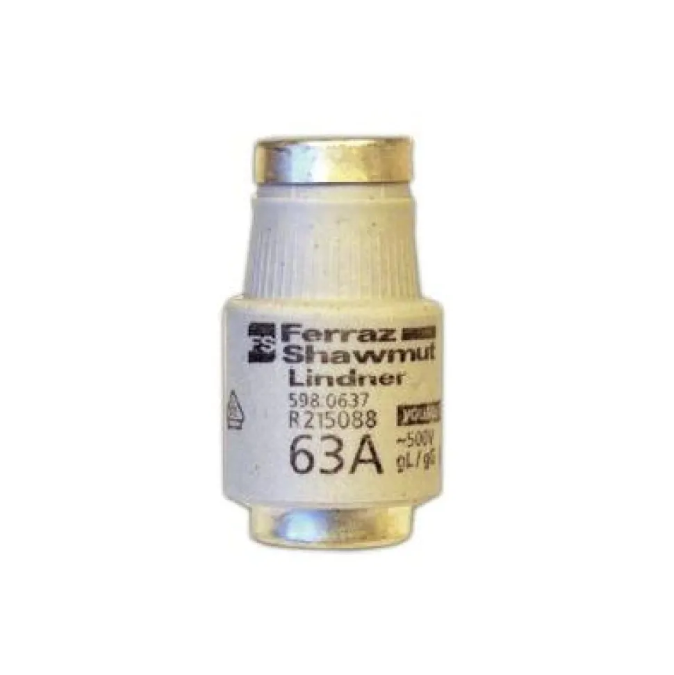 Tulppasulake DIII-63A gG FS 598.0637