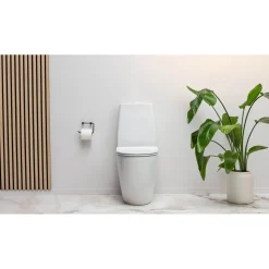 WC-istuin IDO Glow Art, piilo-S-lukko, 2-huuhtelu, TurboFlush, Soft Close -kansi